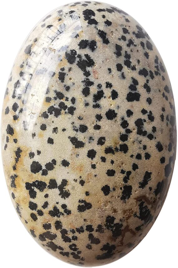 Gemstone Dalmation Jasper Palm Stone