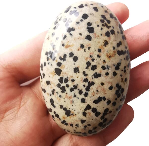 Gemstone Dalmation Jasper Palm Stone - Image 5