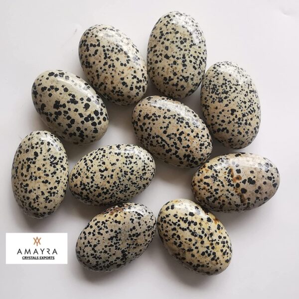 Gemstone Dalmation Jasper Palm Stone - Image 7