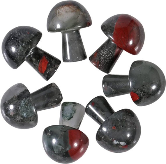 Gemstone Blood Stone Mushroom