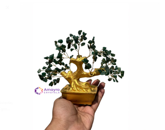 Green Jade Golden Trunk Bonsai Tree
